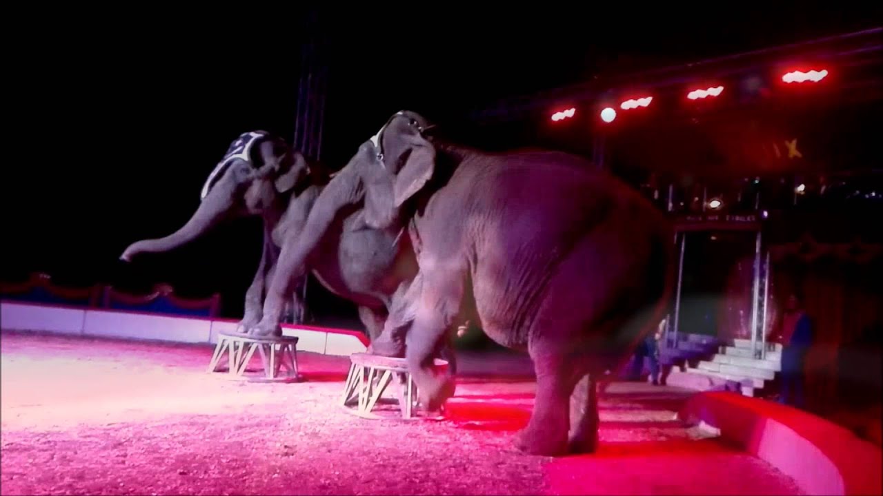La Piste aux Etoiles - Nouveau Spectacle 2016