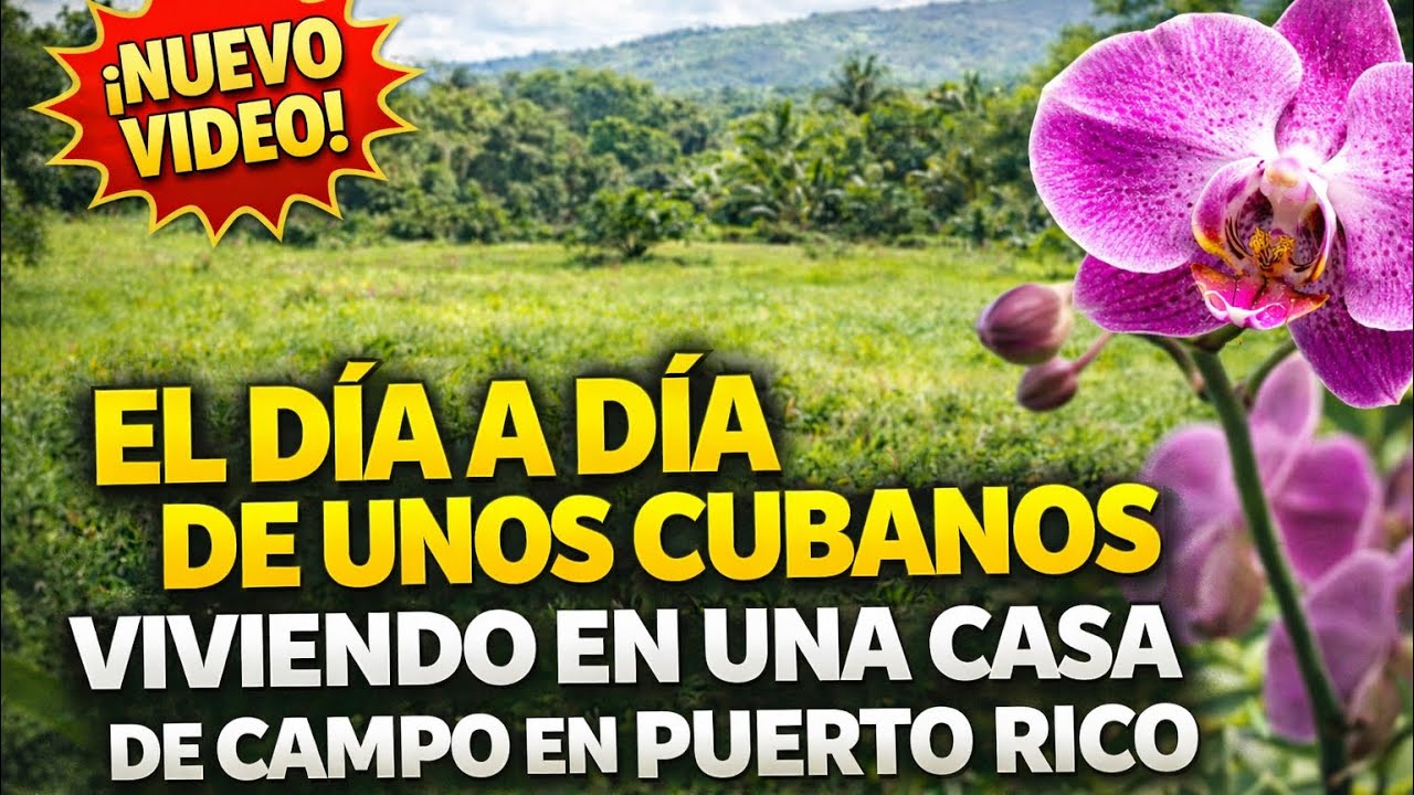 El día día de unos cubanos, viviendo en Puerto Rico