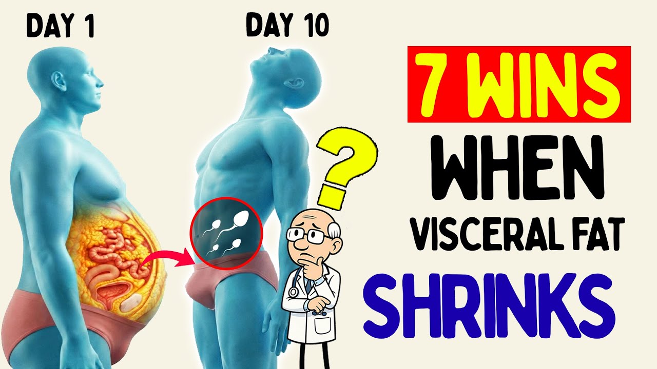 What Happens to Your Testosterone When Visceral Fat Begins to Let Go ?