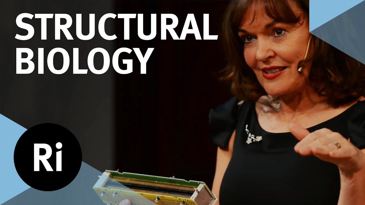 A New Phase for Structural Biology - with Carol Robinson