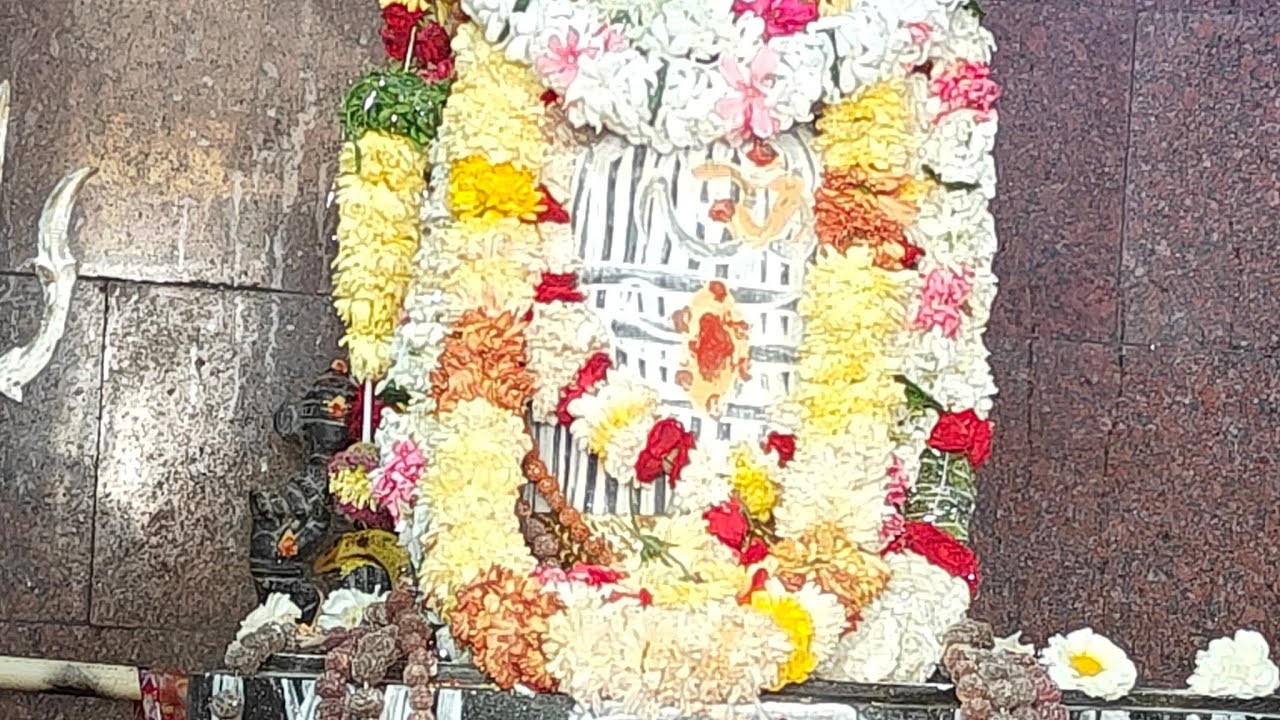 ଦିନ ସାରା ବ୍ୟସ୍ତ 🤥ଆସରେ ଟିକେ କଥା ହେବା 🤗
