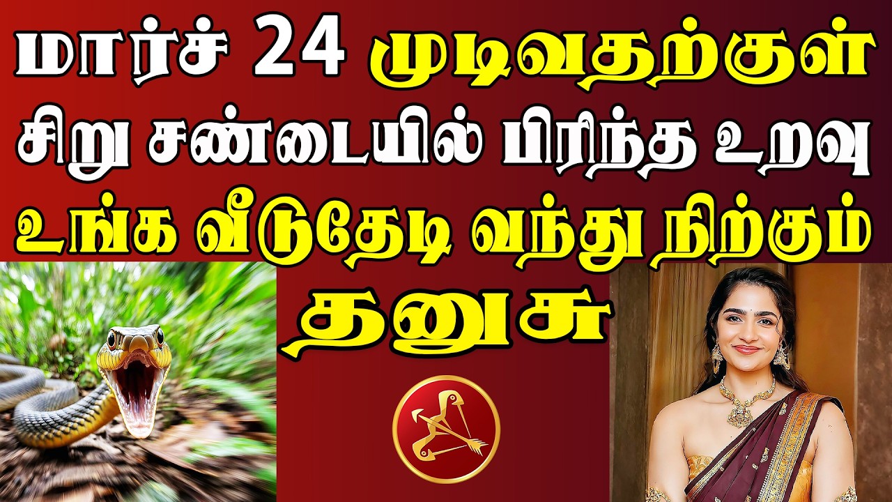 தலை கால் புரியாதவர்கள் தயவு செய்து வீடியோ பாருங்க புரியும் | Dhanusu Rasi | தனுசு ராசி
