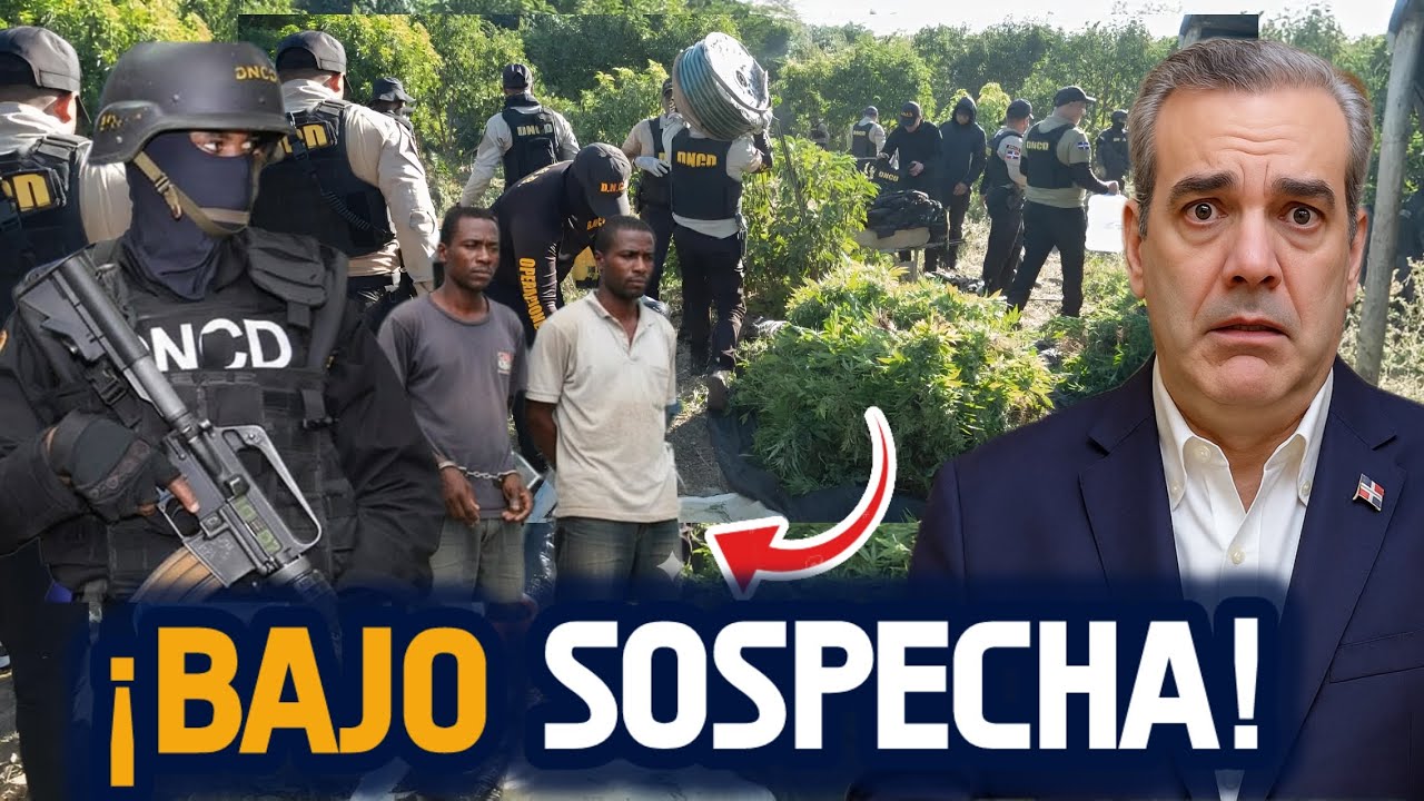 🚨Baní: ¿De quién son plantaciones Mar1hu@na y 2 toneladas dr0g@?