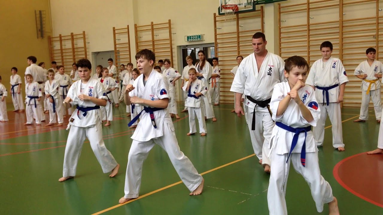 KARATE OYAMA LUBLIN Emilia Egzamin na 6 KYU senior (źółty pas) 06.02.2016