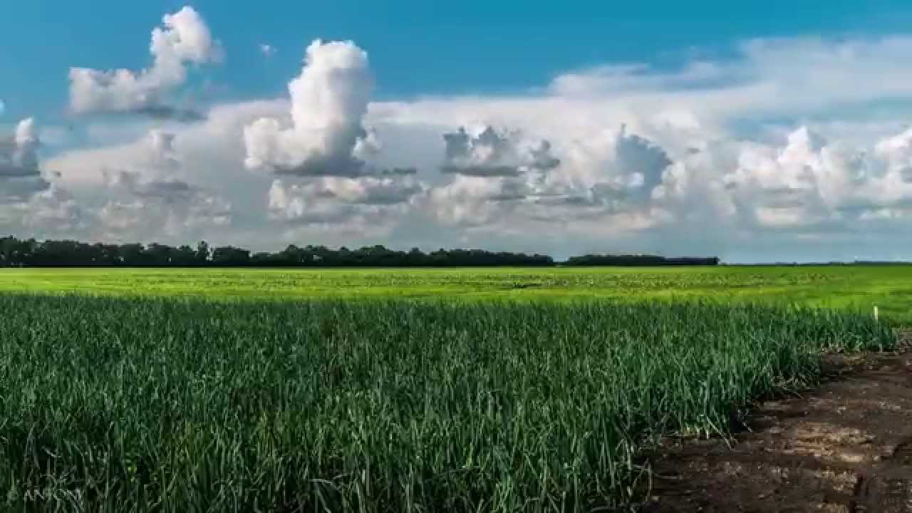 Makó Time-lapse / UHD 4K