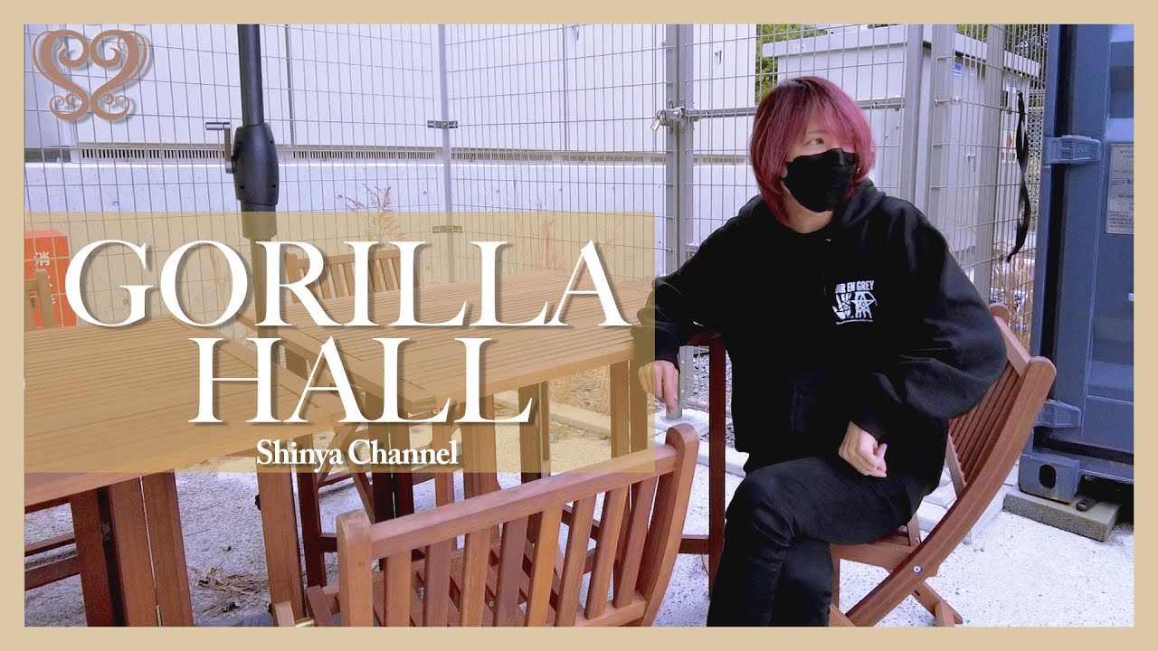 【DIR EN GREY】Я исследовал место проведения GORILLA HALL, которое посетил впервые.