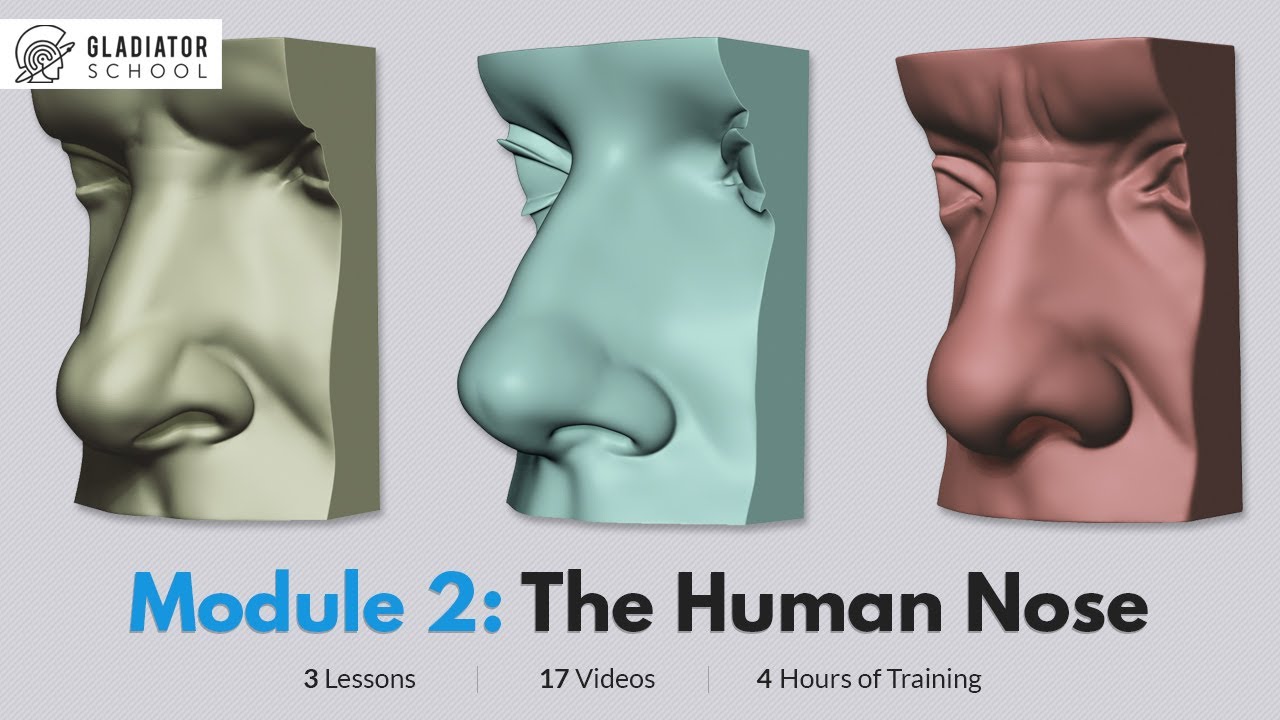 Sculpting The Human Nose