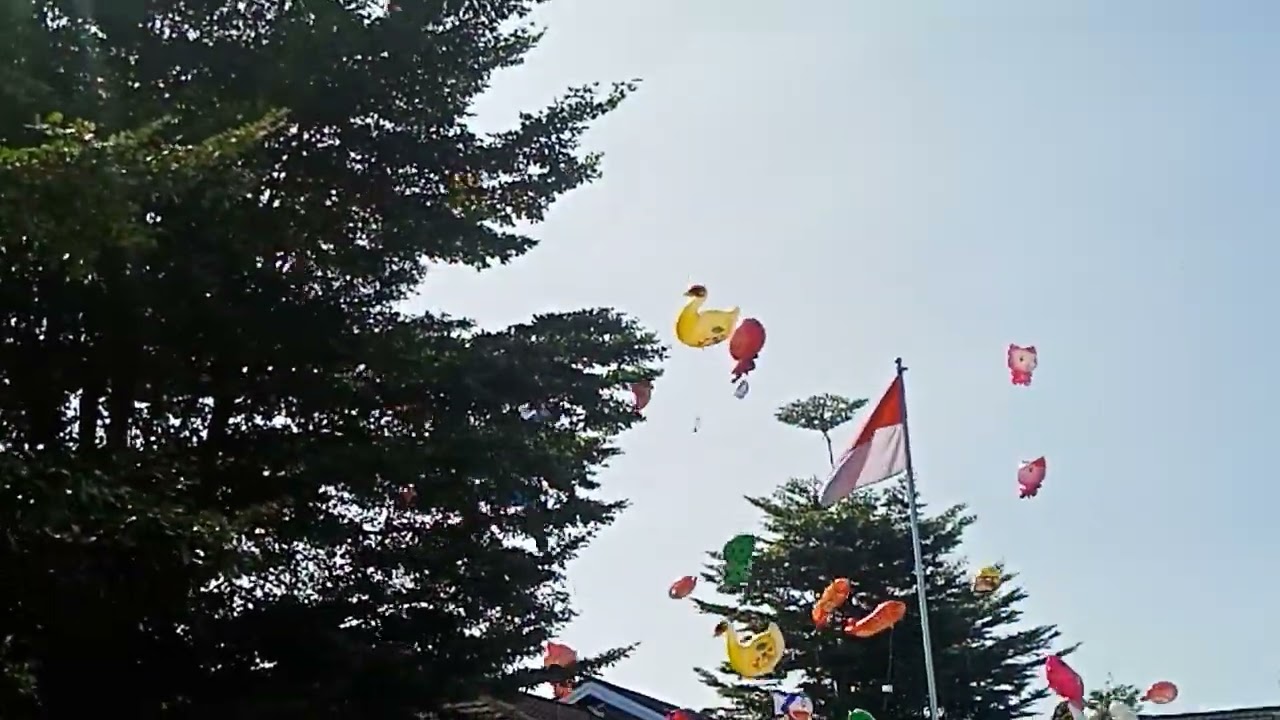 #pelepasan #balon #cita-cita @arethafukayna987