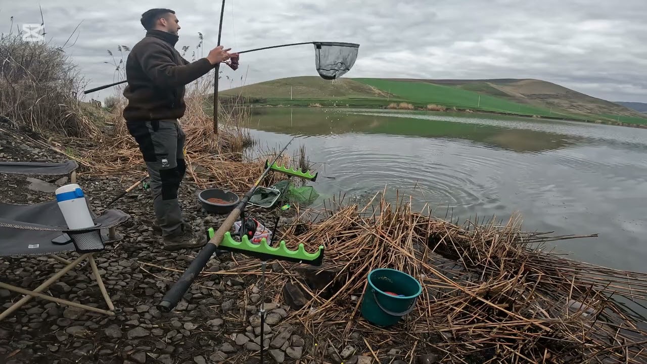 Pescuit pe Zau de Campie , un lac cu traditie! Incercam sa trezim carasul!