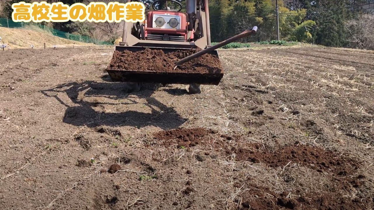 堆肥の散布風景　「vlog]
