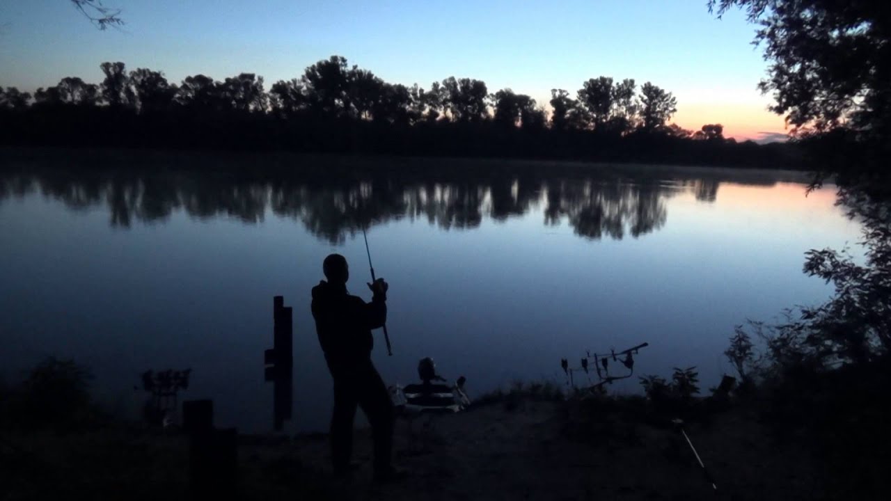 Karpervissen: The Rhone 2014. Karper avontuur ten top. Carp fishing Le Rhone 2014. Superb Session!