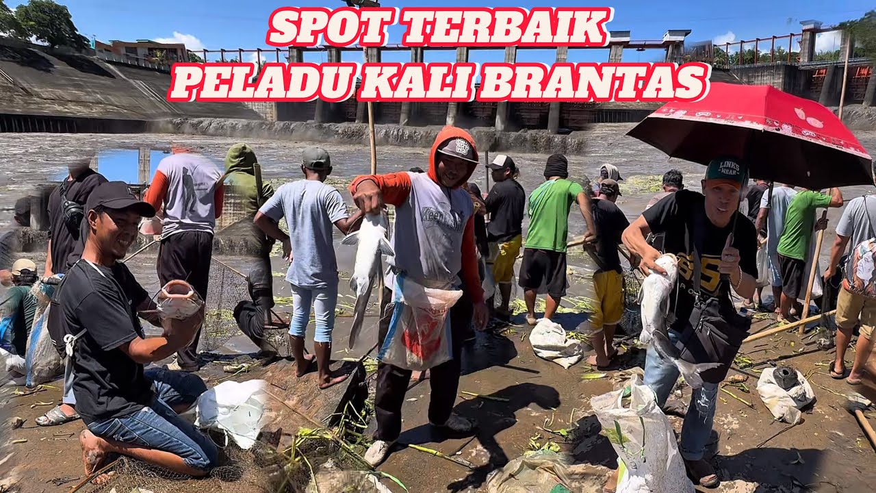 GEGER GEDEN - PESTA RAKYAT PLADU KALI BRANTAS BANYAK YANG DAPAT MONSTER BRANTAS