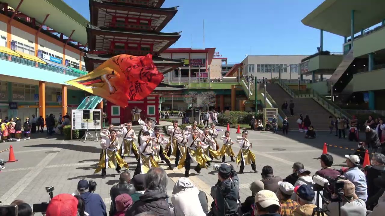 ど～んと Coco de 踊らん会2－Ebinaよさこい2026