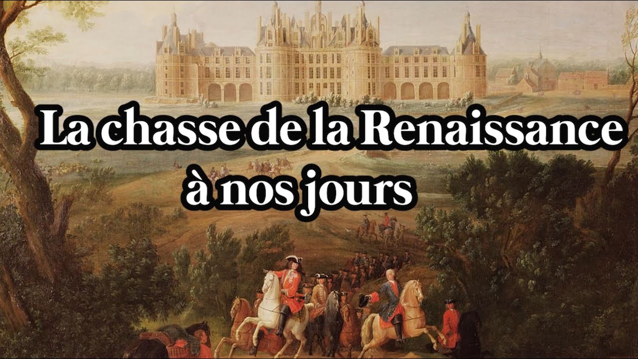 Histoire de la chasse en France (2/2) : De la Renaissance à nos jours