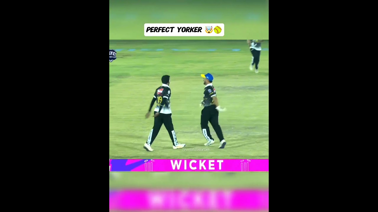 #perfect yorker 🤯💥#fardeenkazi 🏏#tennis#viral#out#bating#bolling#7070#goviral#10millionview