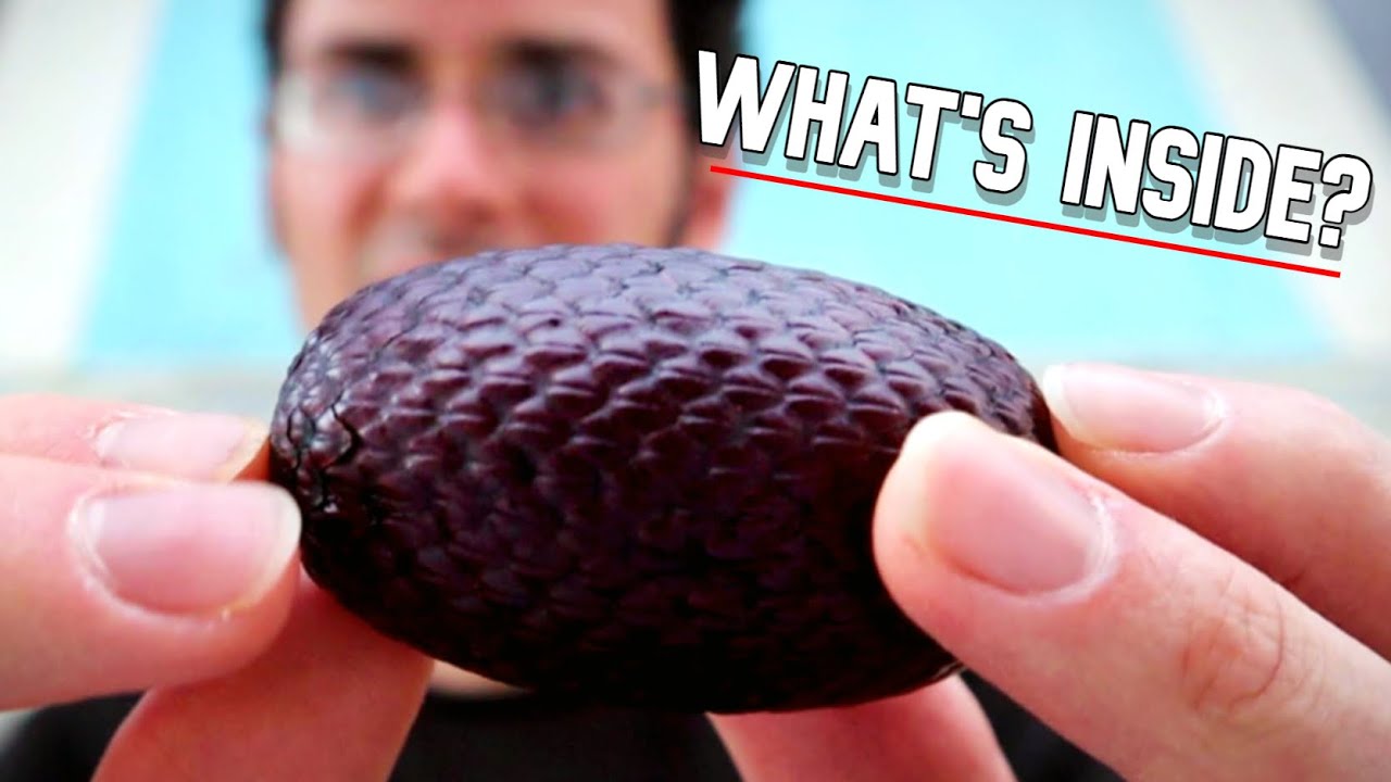 АГУАХЕ — этот пальмовый плод очень вкусный, но очень сложный — Weird Fruit Explorer