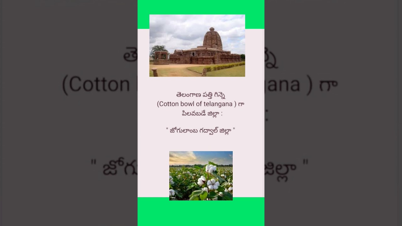 #telangana #general knowledge #cotton #bowl #gadwal #important #gk #bits