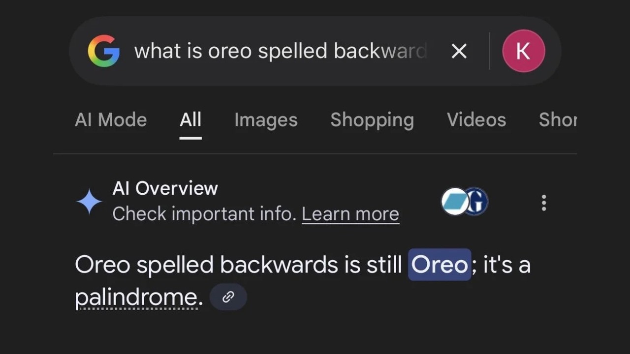 Dumb Google AI Responses🥀