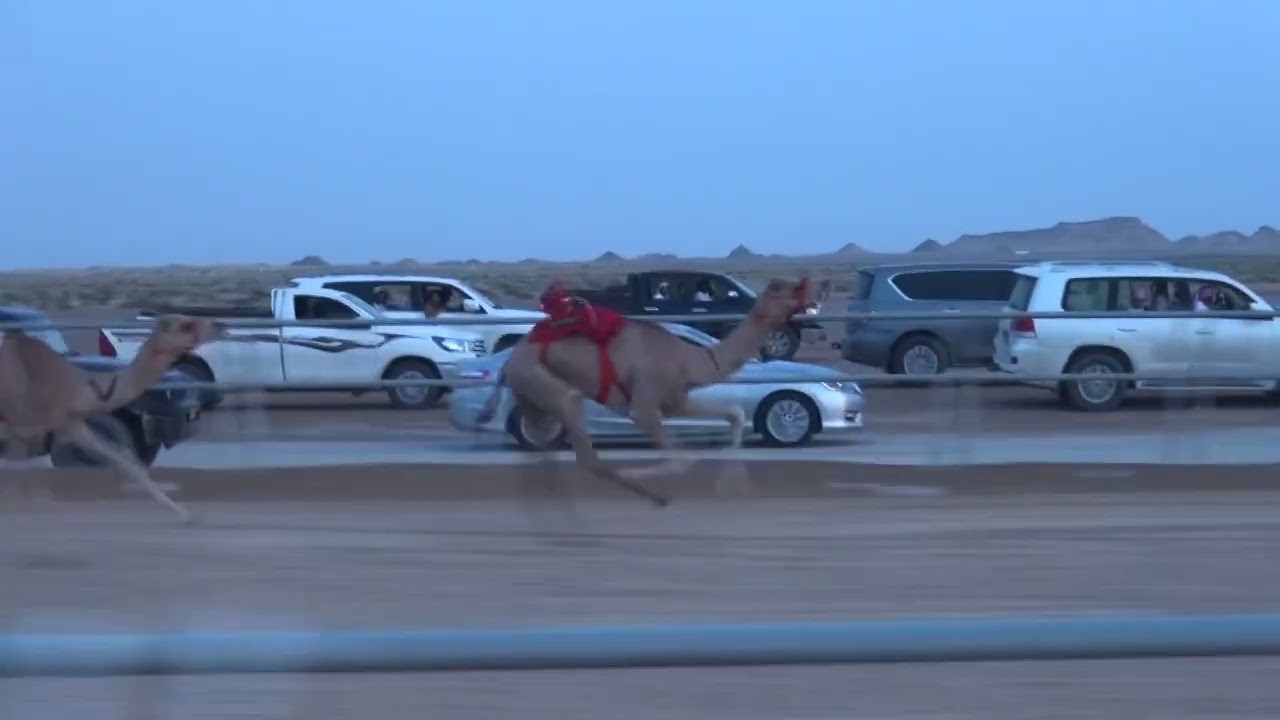 05-08-2022 الشوط الاول ميدان ثمريت