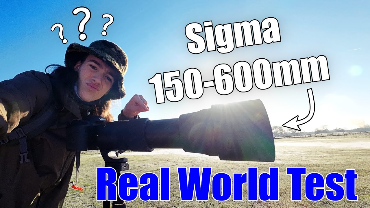 Testing the Sigma 150-600mm C Lens (Canon Fit) on a Freezing Morning!