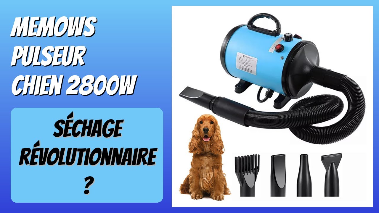 AVIS (2026) : Memows Pulseur Chien 2800W. DÉTAILS
