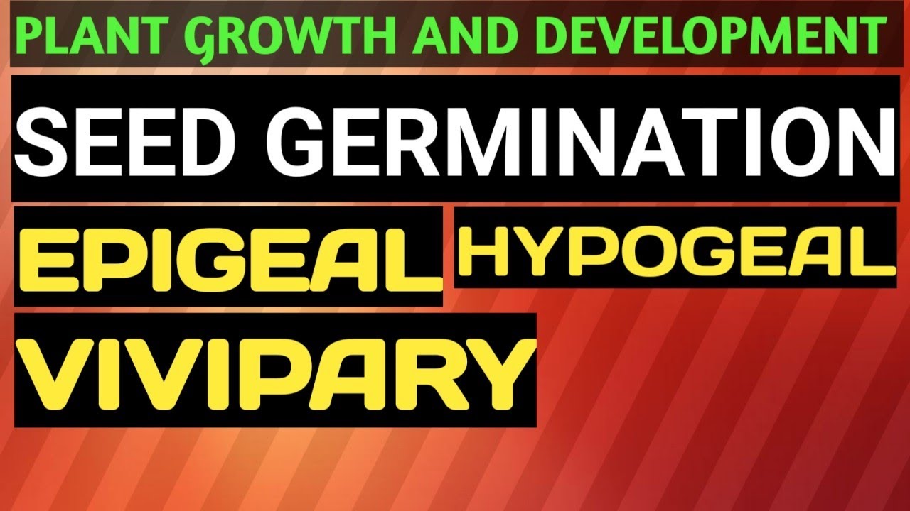 Plant Growth & Development - #seed_germination/ #hypogeal #epigeal #vivipary