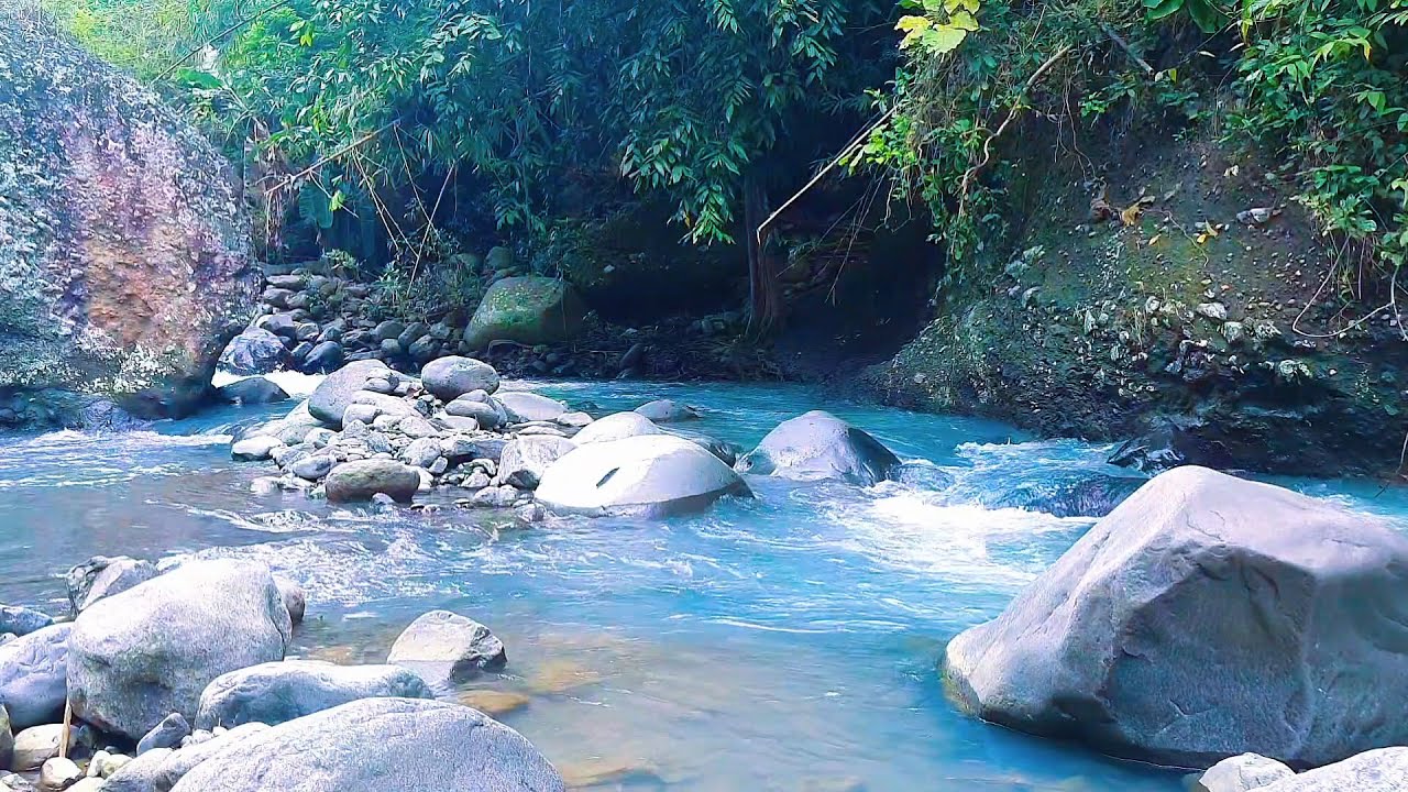 River Ambience to Ease the Mind