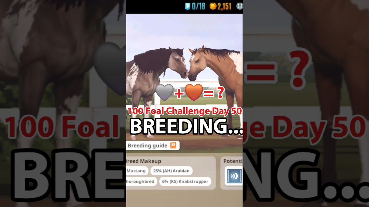 Breeding Horses In Rival Stars Horse Racing 100 Foal Challenge Day 50🩶+🤎= ? #rivalstarshorseracing