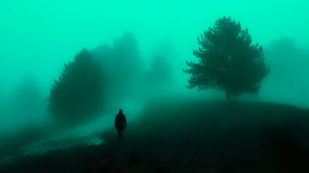 you are safe here, sleep.