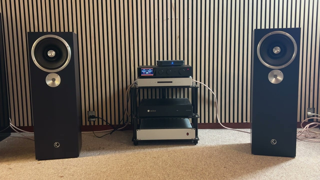 Zu OMEN MKII / Audiolab 9000A music review playing