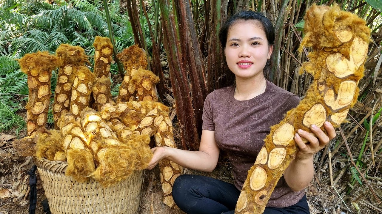 Harvest Coolie Ferns Bring to the market to sell - Daily life | Trieu Thi Thuy