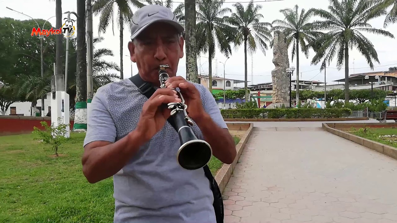 MÚSICA TÍPICA DE LA SELVA DE MI PERÚ