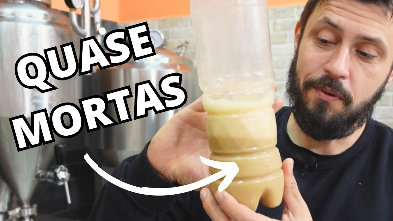 Quanta Levedura é produzida em 20 Litros de Cerveja? Contagem e Reaproveitamento