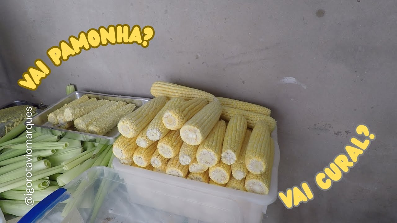 vlog # 25 - árvore de natal | pamonha feita em casa