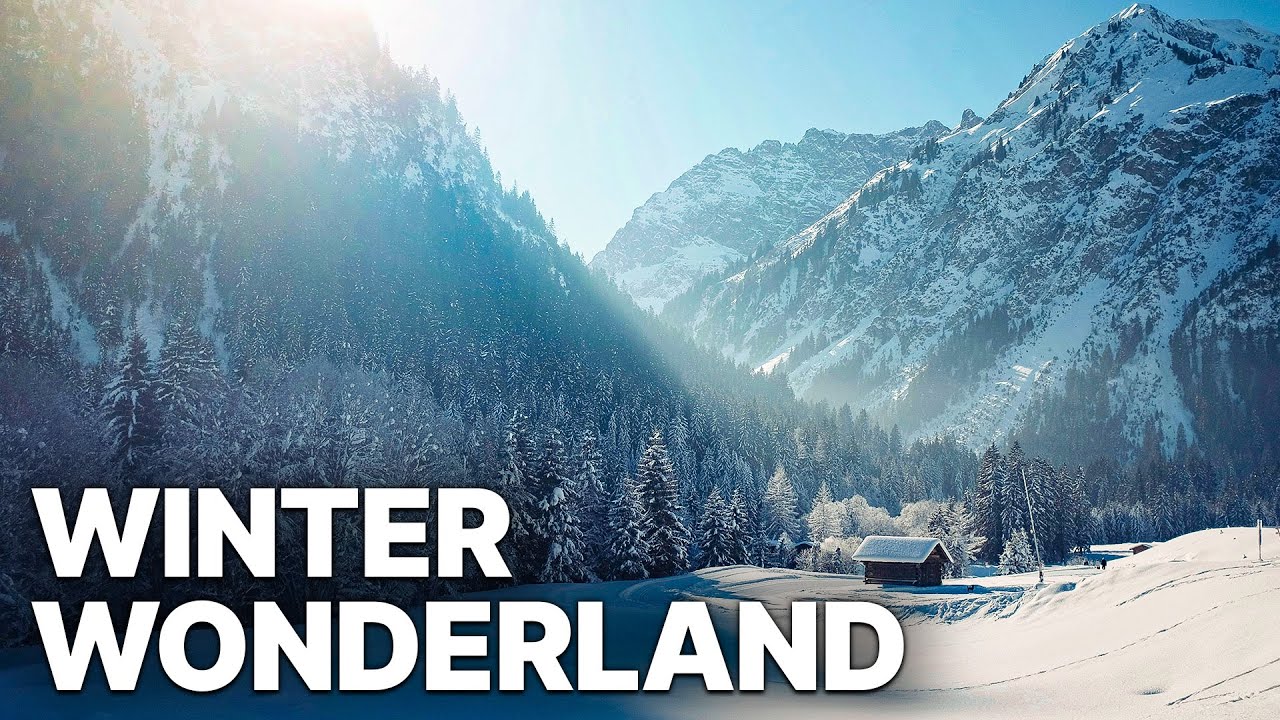 Christmas Winter Wonderland | DOCUMENTARY