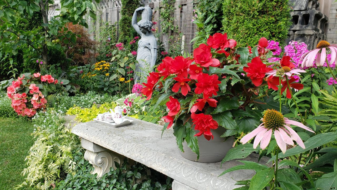 How I Refresh and Care for My Garden During Hot & Dry Summers