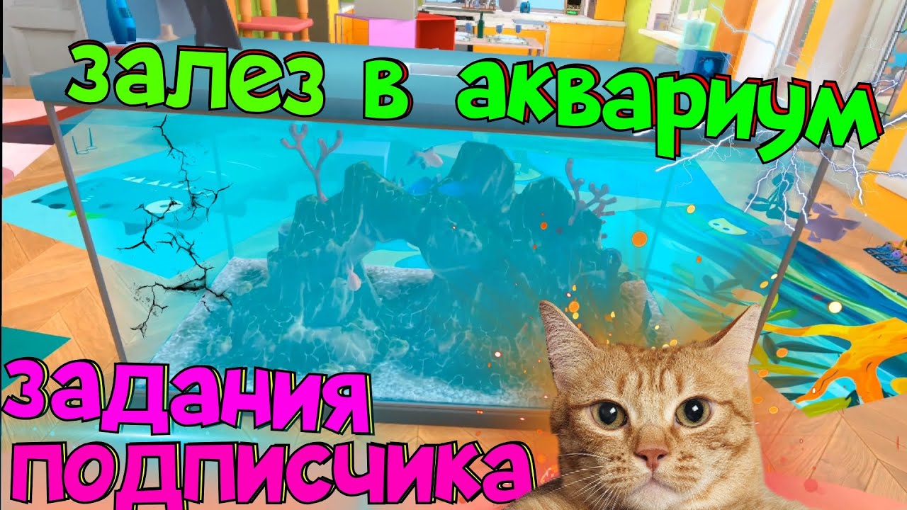 КОТ ВЫПОЛНЯЕТ ЗАДАНИЯ ПОДПИСЧИКА