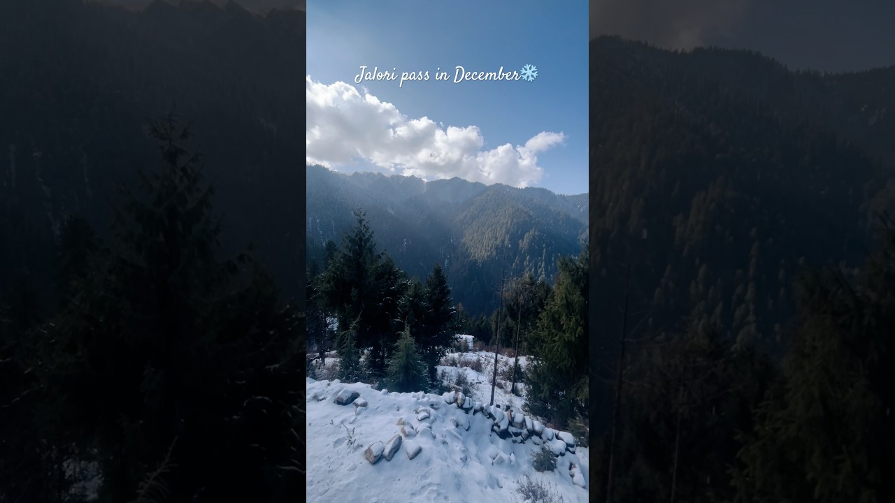 Jalori pass in December ❄️ #jibhi #tirthanvalley #himachal #snow #snowfall ​⁠@Shubhamsurivlogs