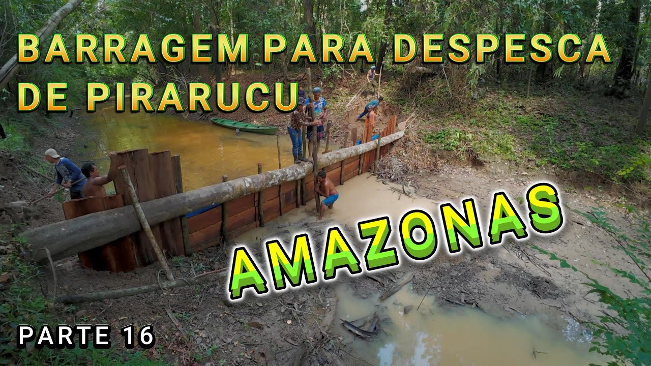 FAZENDO BARRAGEM PARA A DESPESCA DE PIRARUCU - VÍDEO 16