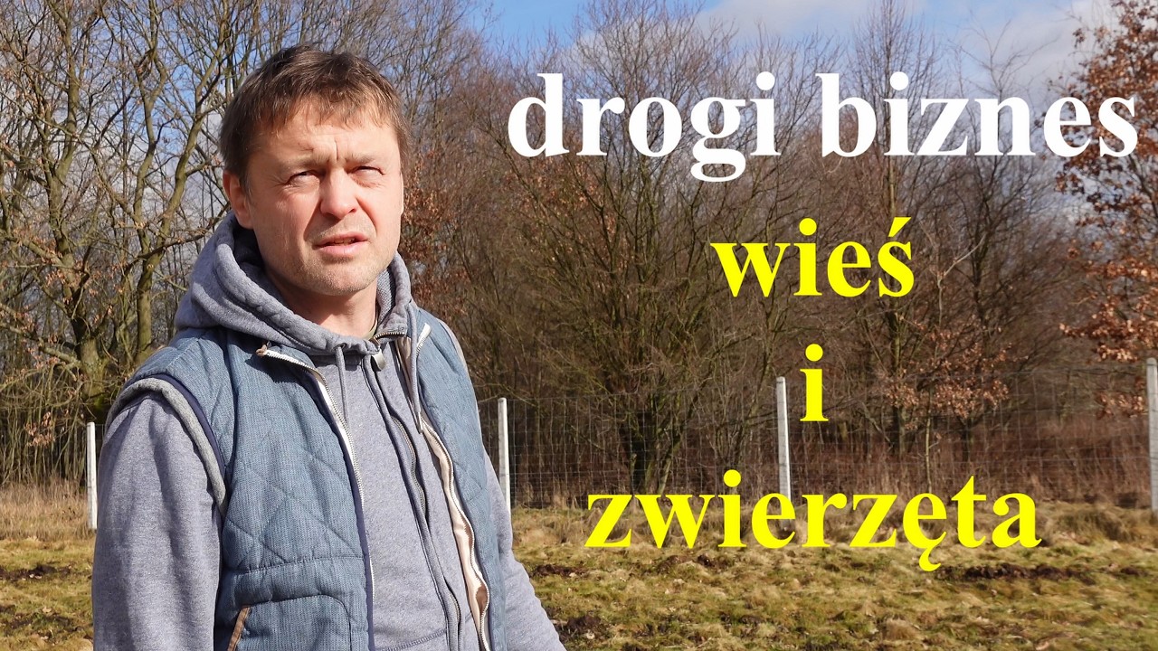 Zalewa nas | koza karmi owieczki | pszczoły mają się dobrze