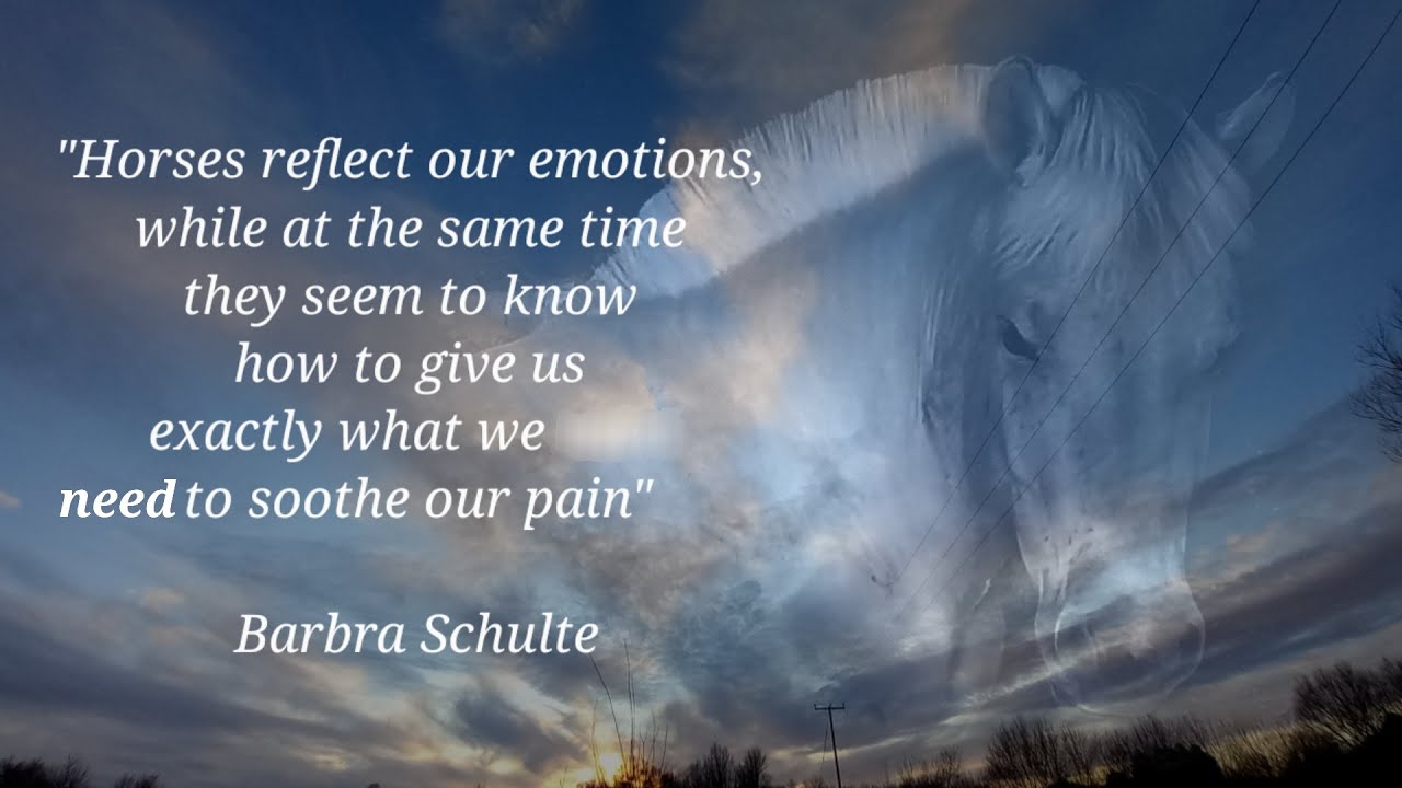 Horses Reflect - Horse Therapy with Lorraine