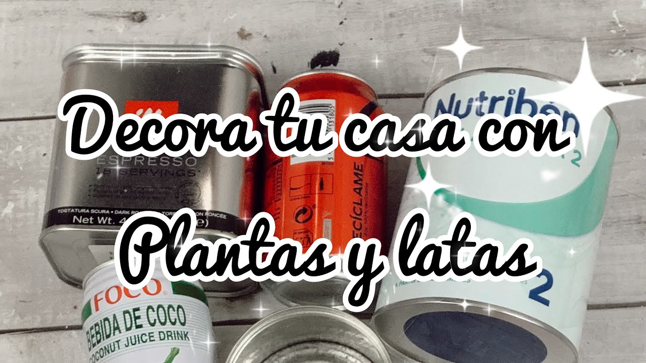 Decora tu casa con plantas y latas
