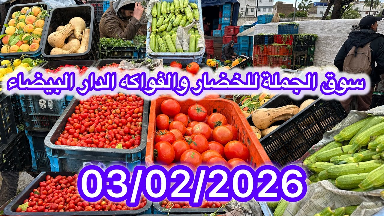 أحدث أسعار الخضار والفواكه بسوق الجملة بالدار البيضاء | تحليل يوم 3 فبراير 2026”🫑🌶️🥭🧅🥕🍋🍓🍅🍏🥦
