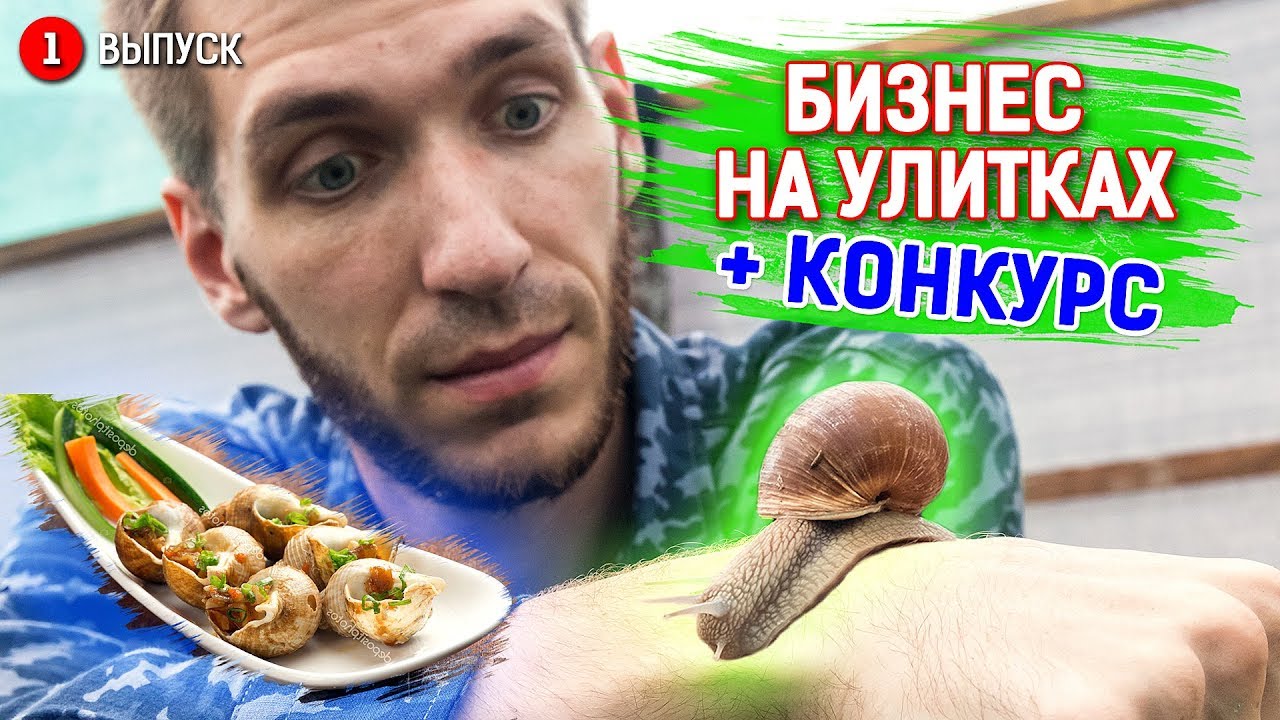Бизнес на улитках. Улиточная ферма. 2500 кг. улиток. Как начать бизнес с нескольких улиток.