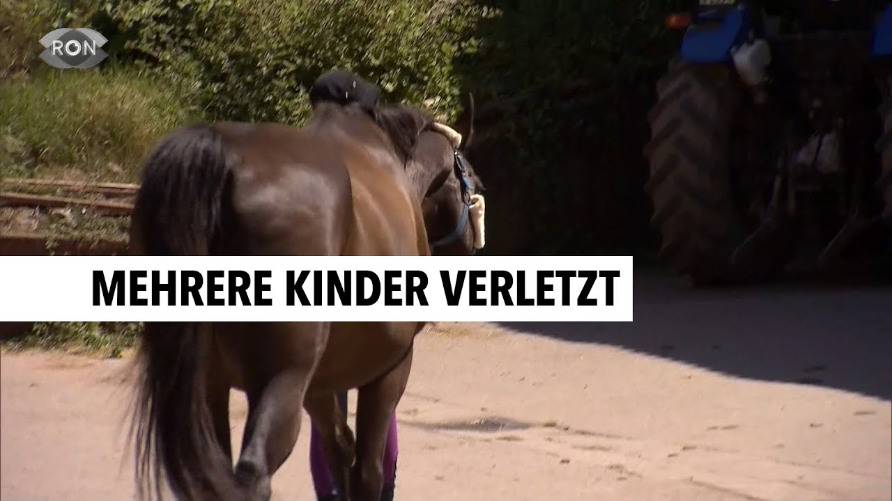 Unfall auf Reiterhof | RON TV