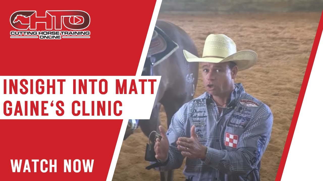 Insight Into Matt Gaine's Clinic