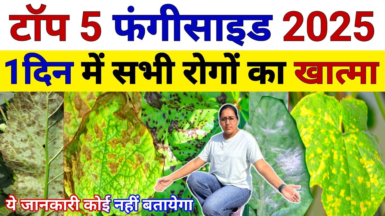 खेती में टॉप 5 फंगीसाइड 🤗 सभी रोग तुरंत कंट्रोल । Best Fungicide | downy mildew fungicide | kheti