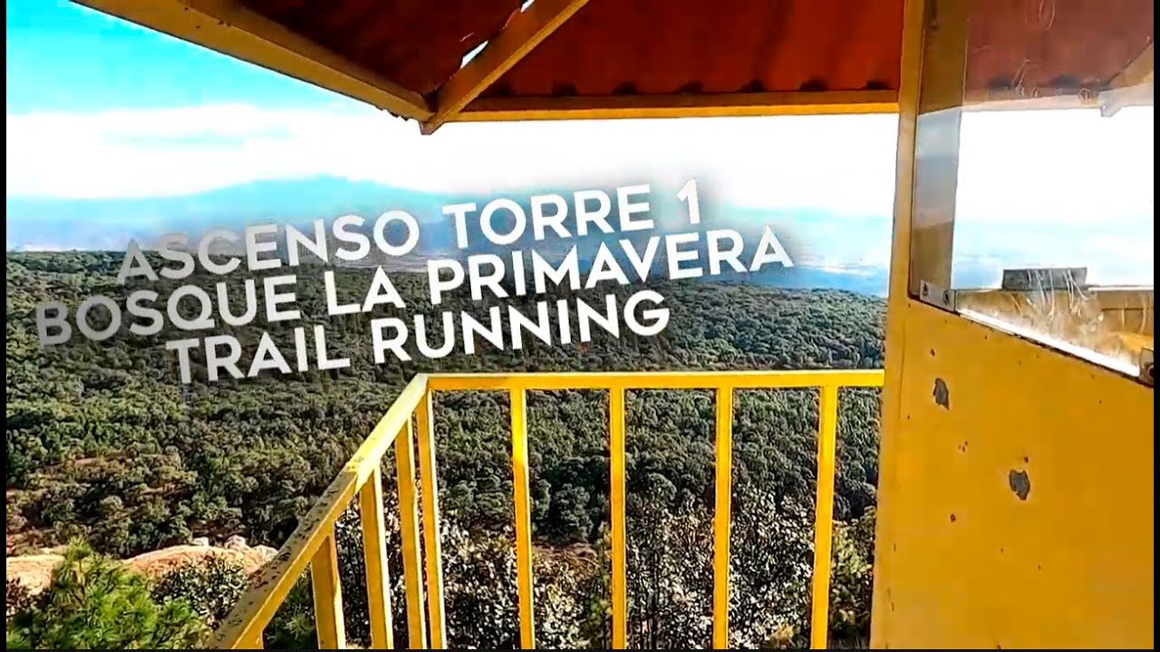 Ascenso Torre 1 bosque de La Primavera desde bosques de Santa Anita (Trail Running)