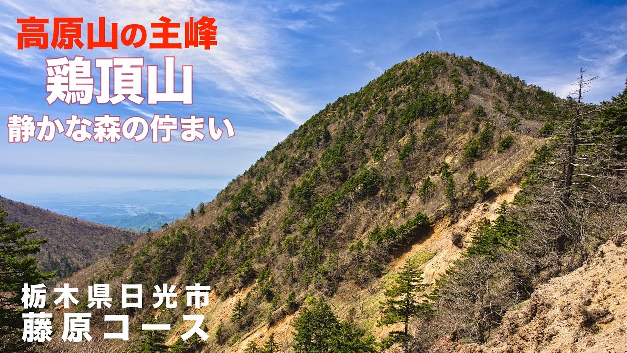 【花の百名山】4K 鶏頂山 藤原コースで静かな森歩きと絶景を堪能！【栃木県日光市】