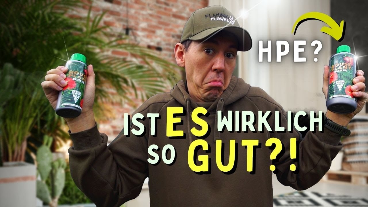 HPE! Das Wundermittel für Zimmerpflanzen 😲 Oder doch mehr schein als sein?